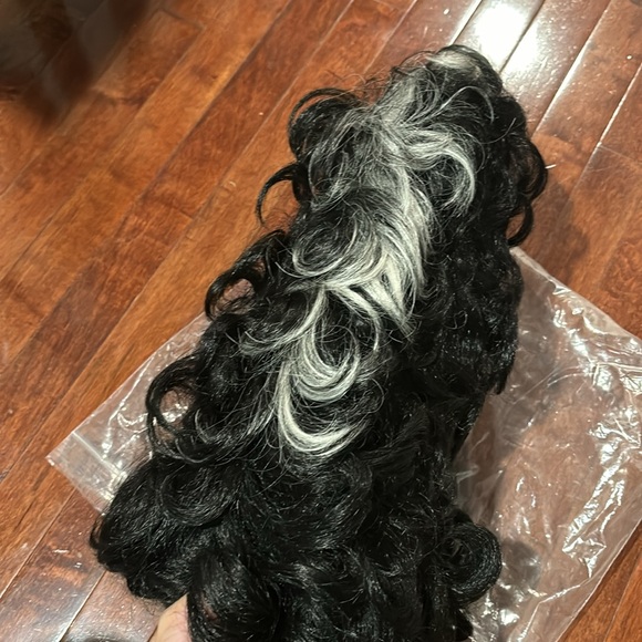 Frankenstein Wife Wig - Picture 4 of 5